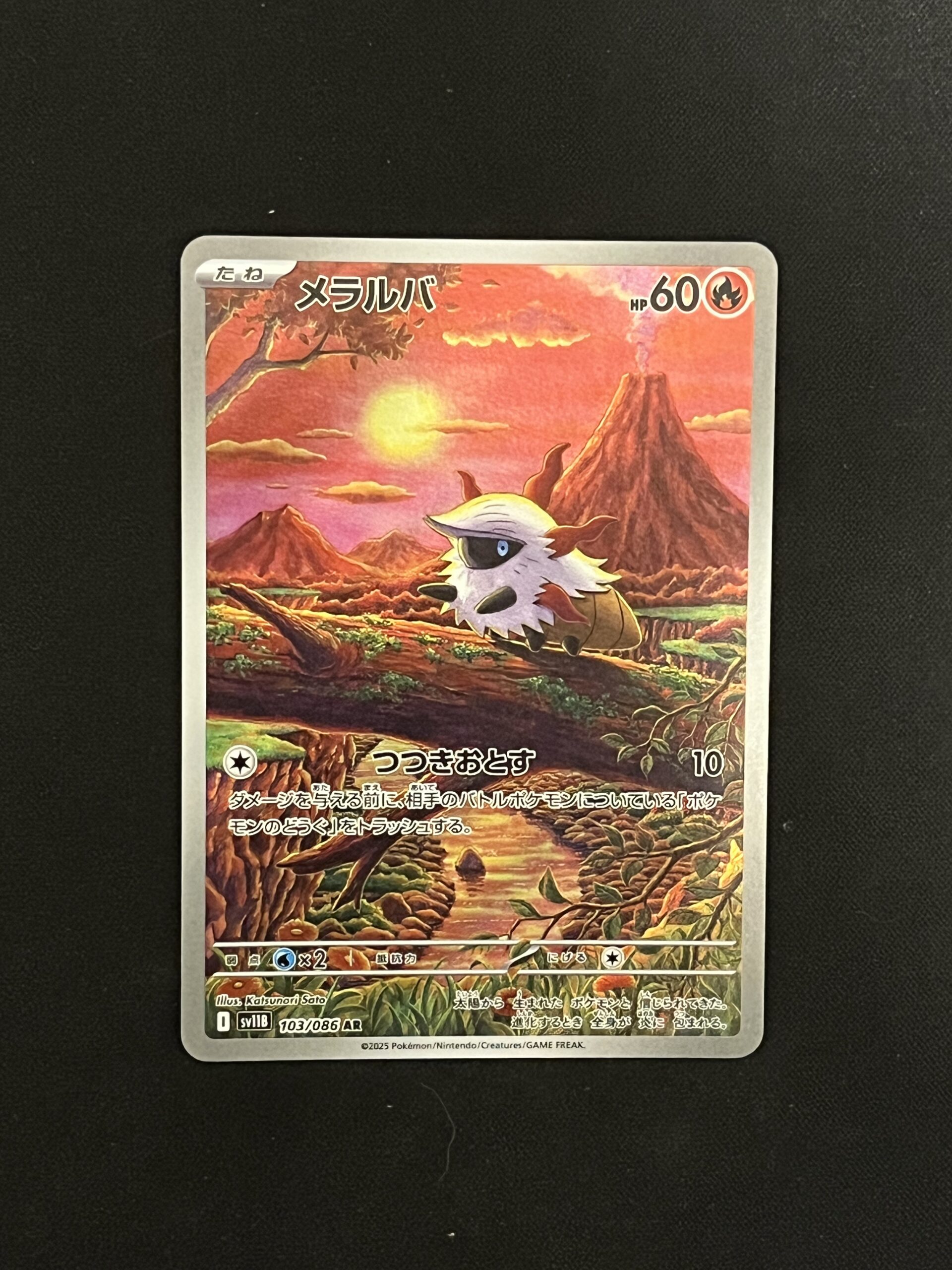SV11B#103 燃燒蟲 (AR)